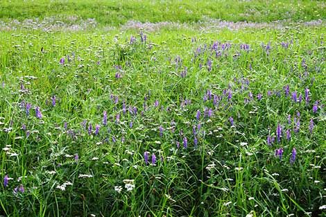 NaturFreunde Deutschland Ortsgruppe Obertshausen e.V.