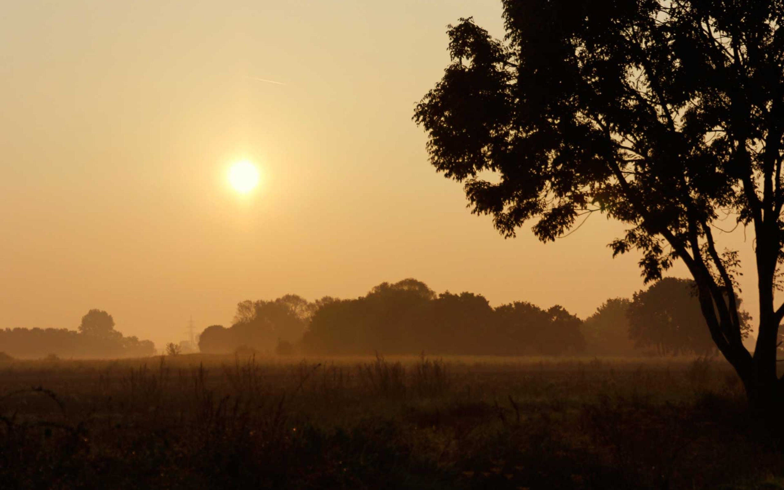 NaturFreunde Deutschland Ortsgruppe Obertshausen e.V.