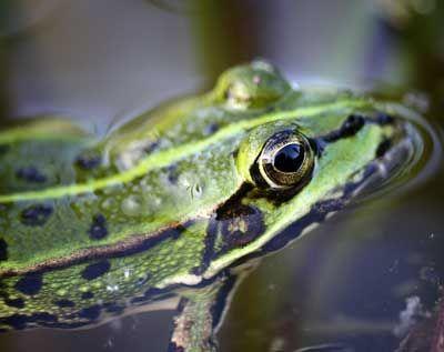 Mitglied werden bei den NaturFreunden Deutschland Ortsgruppe Obertshausen e.V.