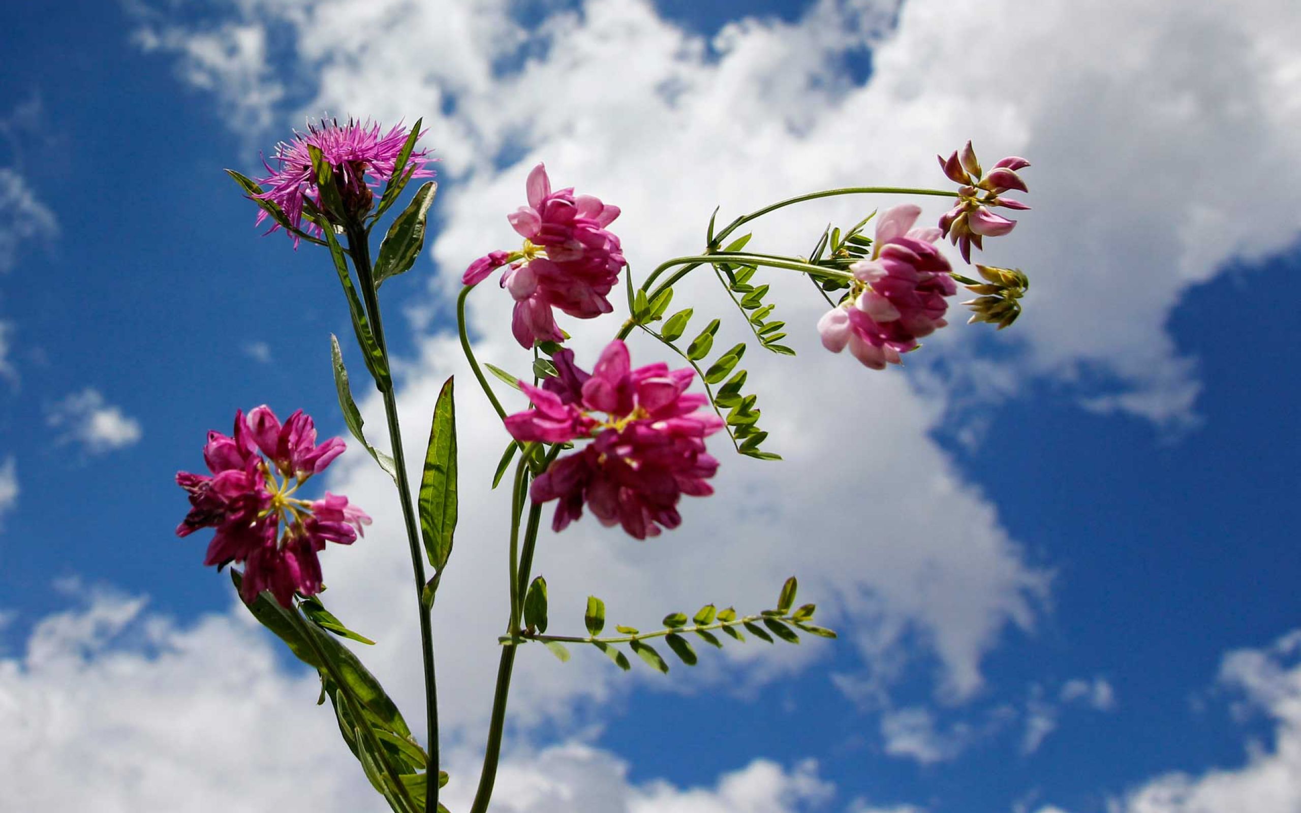 NaturFreunde Deutschland Ortsgruppe Obertshausen e.V.