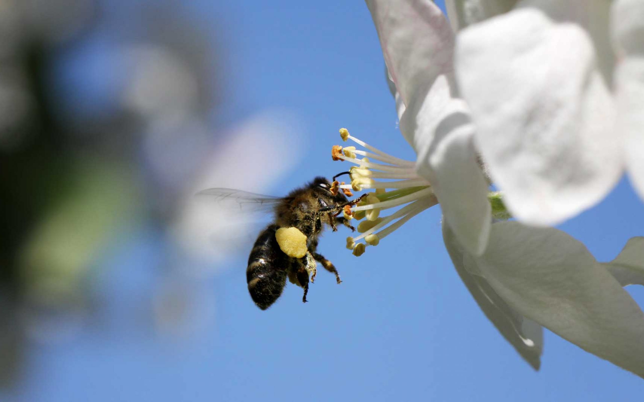 NaturFreunde Deutschland Ortsgruppe Obertshausen e.V.
