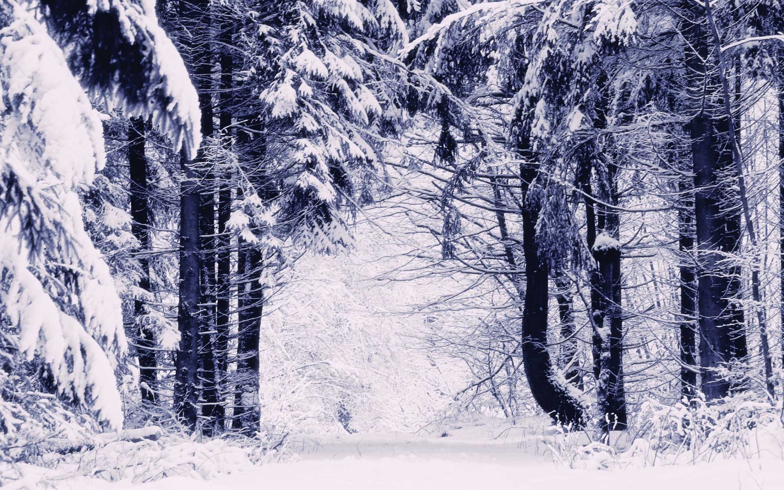 NaturFreunde Deutschland Ortsgruppe Obertshausen e.V.